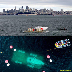 Seamax Pro OceanT Hypalon Commercial Grade Inflatable Boat, with Heavy Duty Alumium Floor (Boat Only)