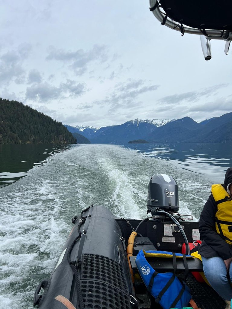 Company Demo Used Seamax Ocean600T Orca Hypalon Commercial Grade Inflatable Boat, with Heavy Duty Alumium Floor with Heavy Duty Aluminum Floor, with Yamaha 70HP &amp; Trailer, for Local Pickup